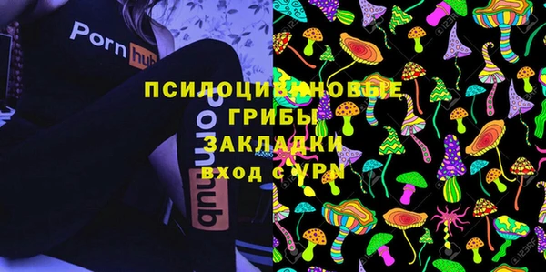 стафф Алексеевка
